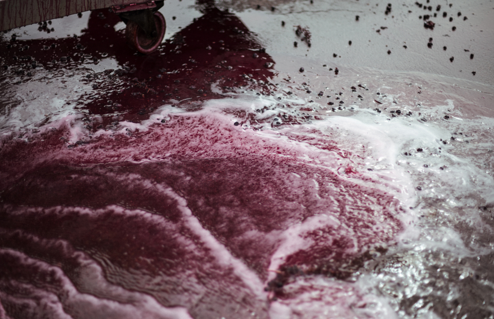 Red wine and water washes across ground.