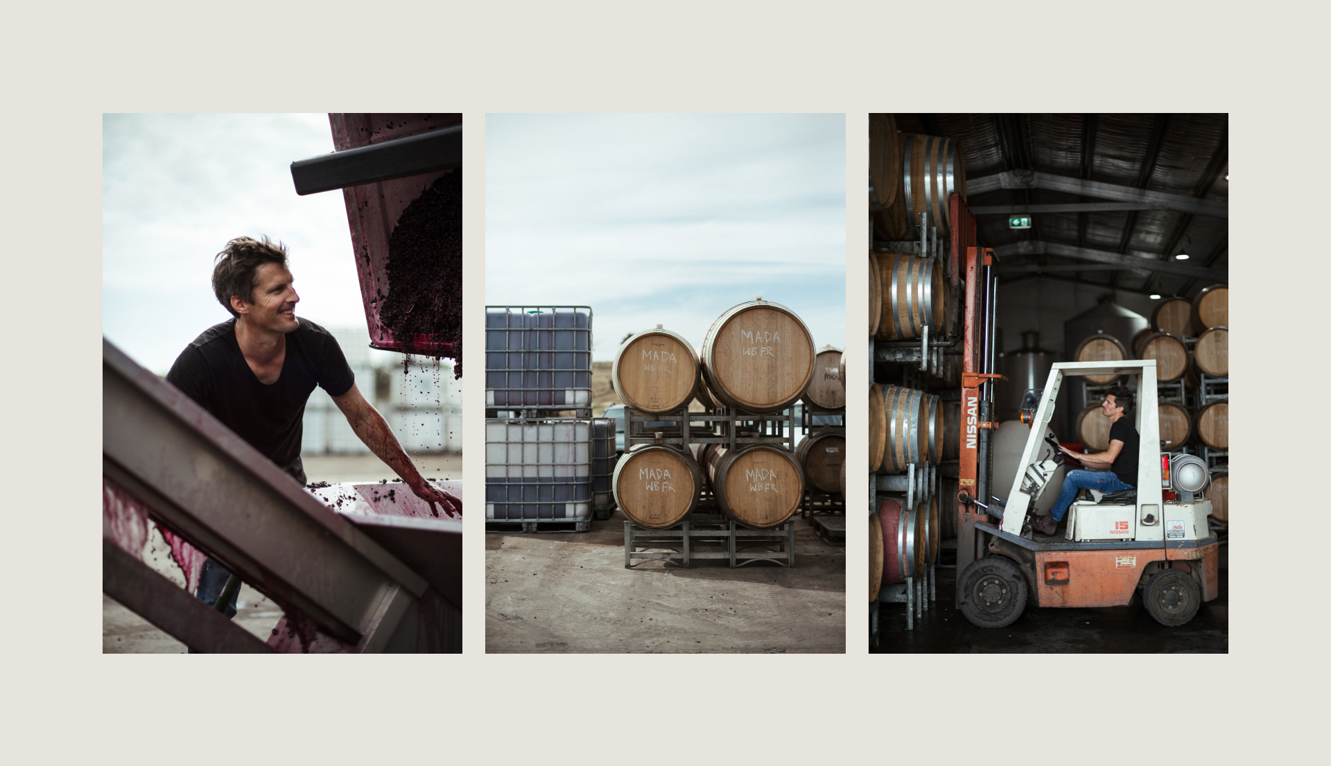 Three photographs on a beige background. Image one is winemaker with red wine covered arms pouring grapes from large crate into large funnel. Image two is wine barrels stacked. Image three is winemaker driving forklift moving wine barrels.