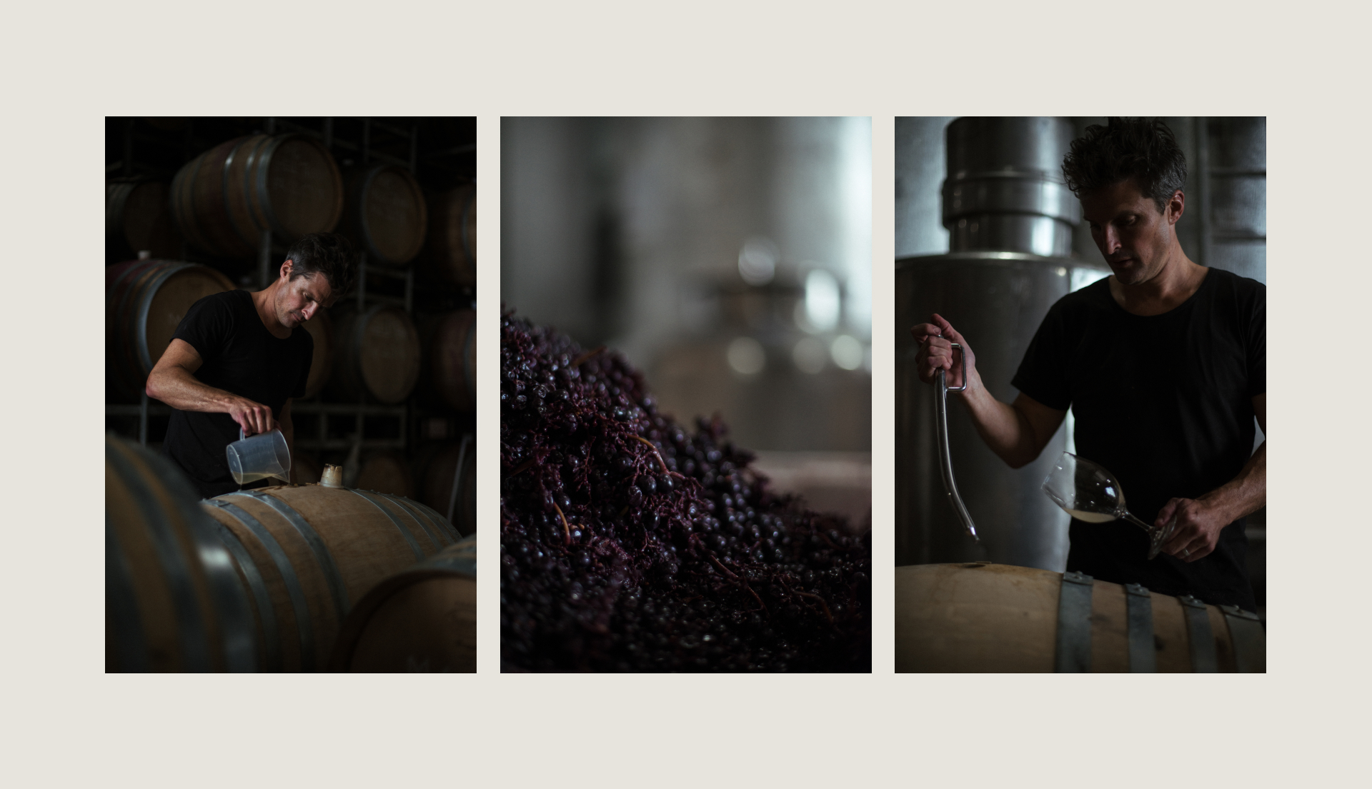 Three photographs on beige background. Image one is winemaker pouring liquid into wine barrel. Image two is a pile of purple grapes. Image three is wine maker using a basting tool to pull wine from barrel and into a wine glass.