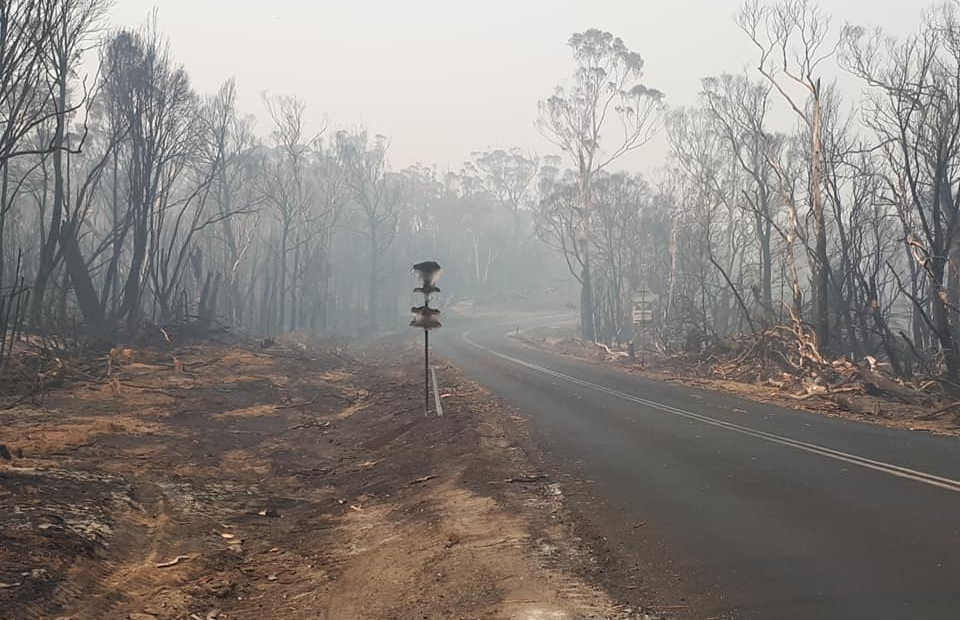 Photo of road where a bushfire has burnt all the trees and grass. Smoke in the air.
