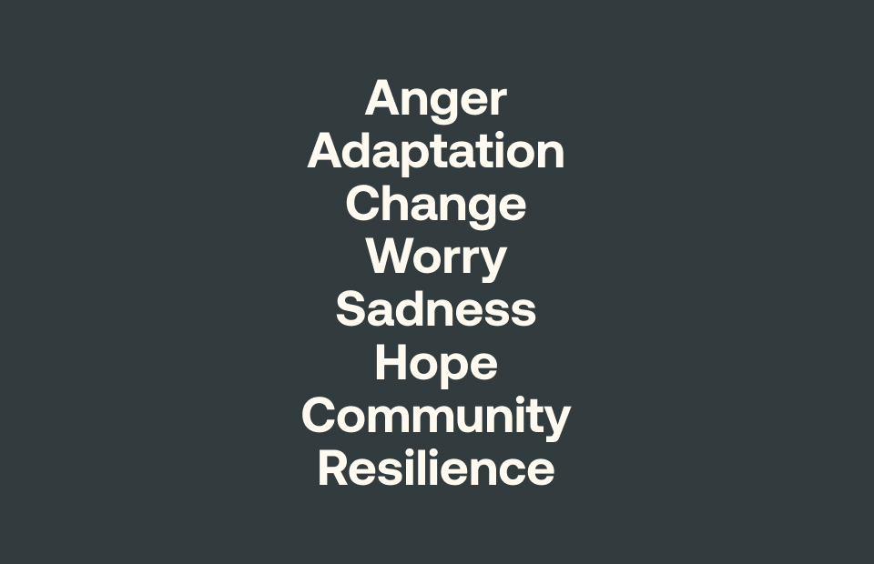 Text which reads, "Anger, Adaptation, Change, Worry, Sadness, Hope, Community, Resilience"
